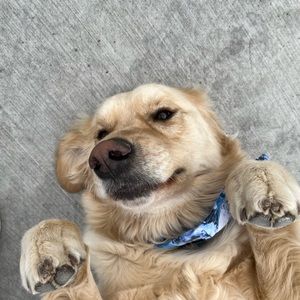 Meet your Posher, Addison